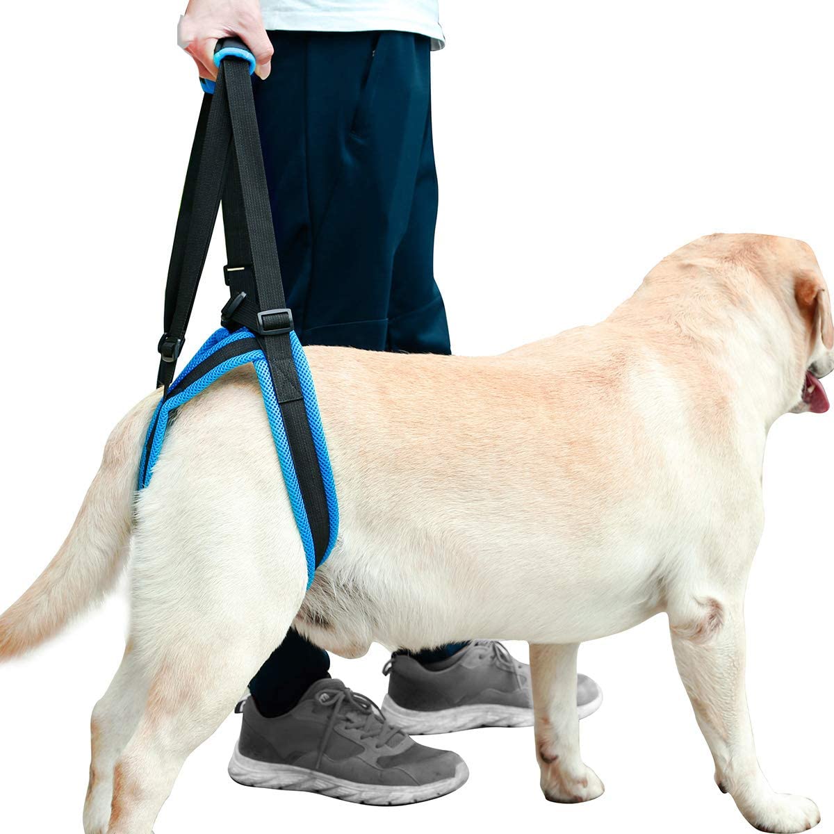  Tineer Dog Lift Arnés para piernas traseras Soporte para Mascotas Arnés Cabestrillo Trasero Ayuda Piernas débiles Levántate Soporte Arnés de Equilibrio para Artritis Rehabilitación Perros (L) 