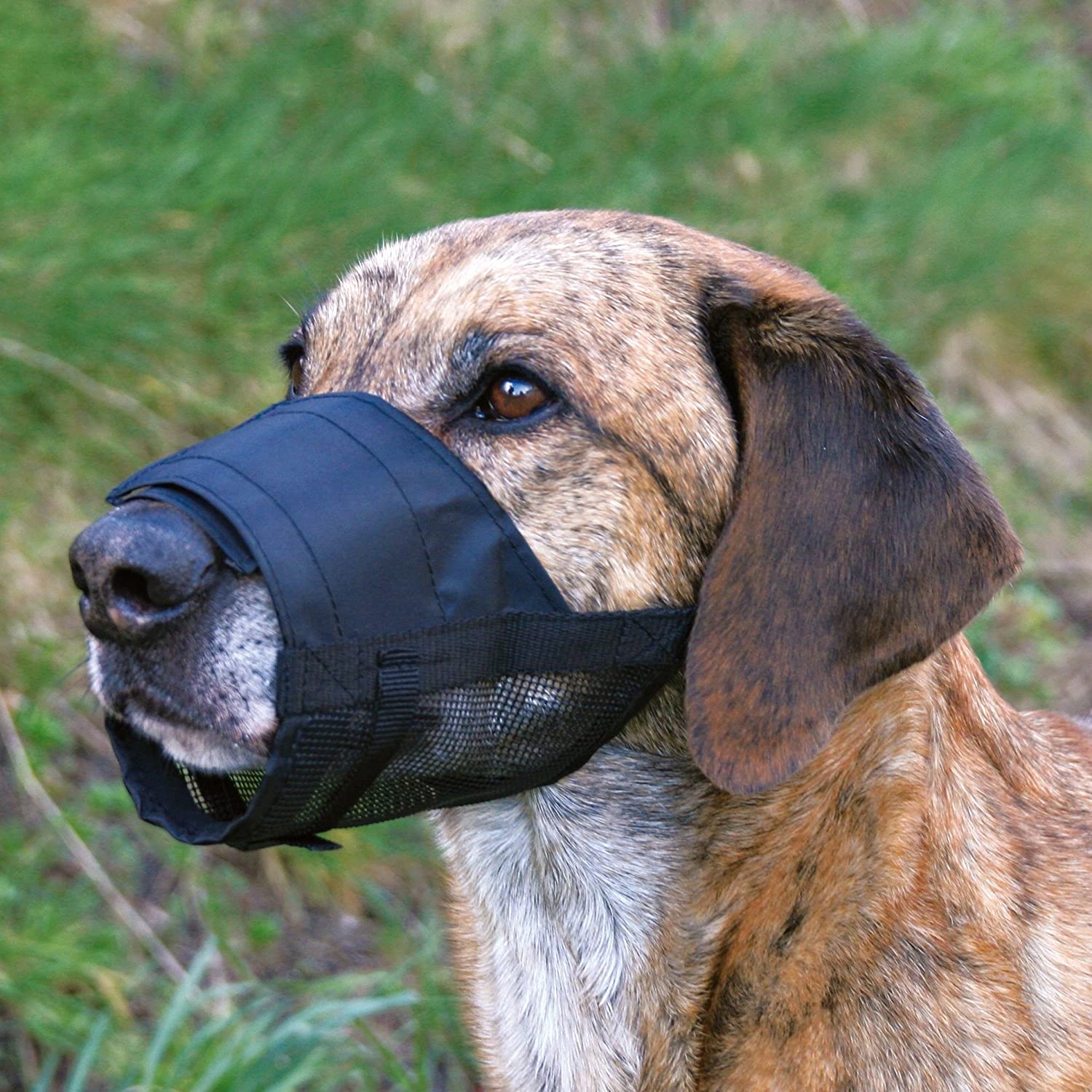  Trixie poliéster Perro Bozal con Red Insertar, pequeño, Negro 