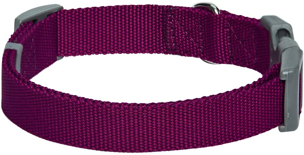  Umi. Essential Classic - Collar para perros L, cuello 45-66 cm, collares ajustables para perros (morado) 