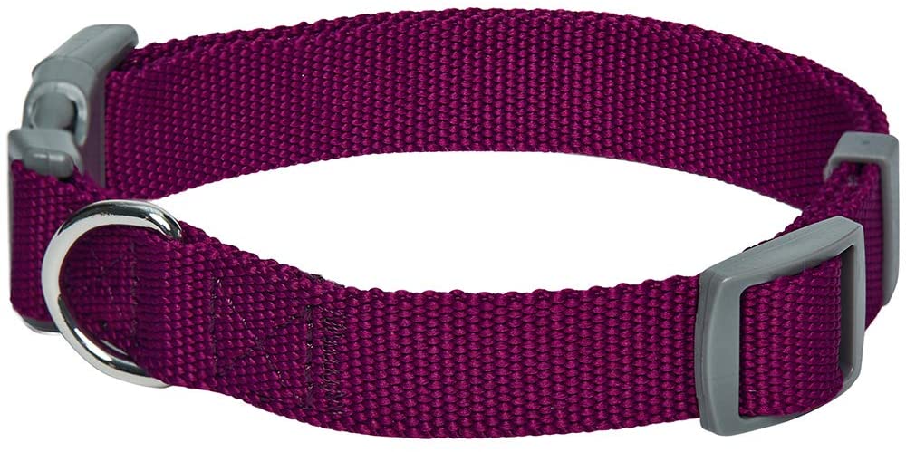  Umi. Essential Classic - Collar para perros L, cuello 45-66 cm, collares ajustables para perros (morado) 