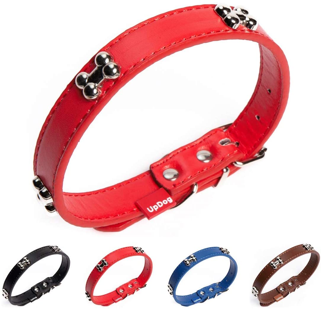  UPDOG Collar para Perro de Cuero Sintético Huesos. Diferentes tamaños para Todas Las Razas de Perros 