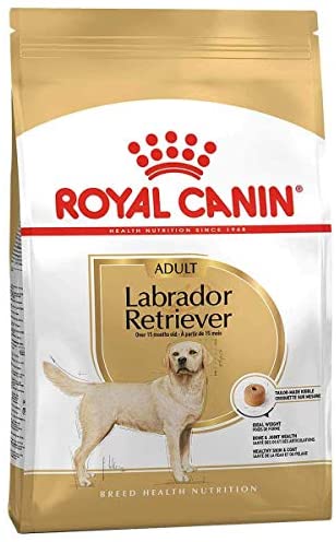  verdecora Royal CANIN Labrador Retriever 30 12KG 