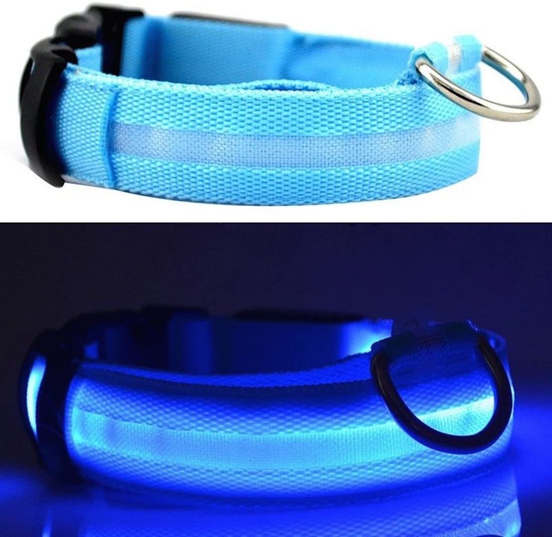  Visibilidad para perros y collar LED de seguridad. USB recargable, no necesita baterías. Su perro será más visible y seguro (MEDIO DE TAMAÑO AZUL) 