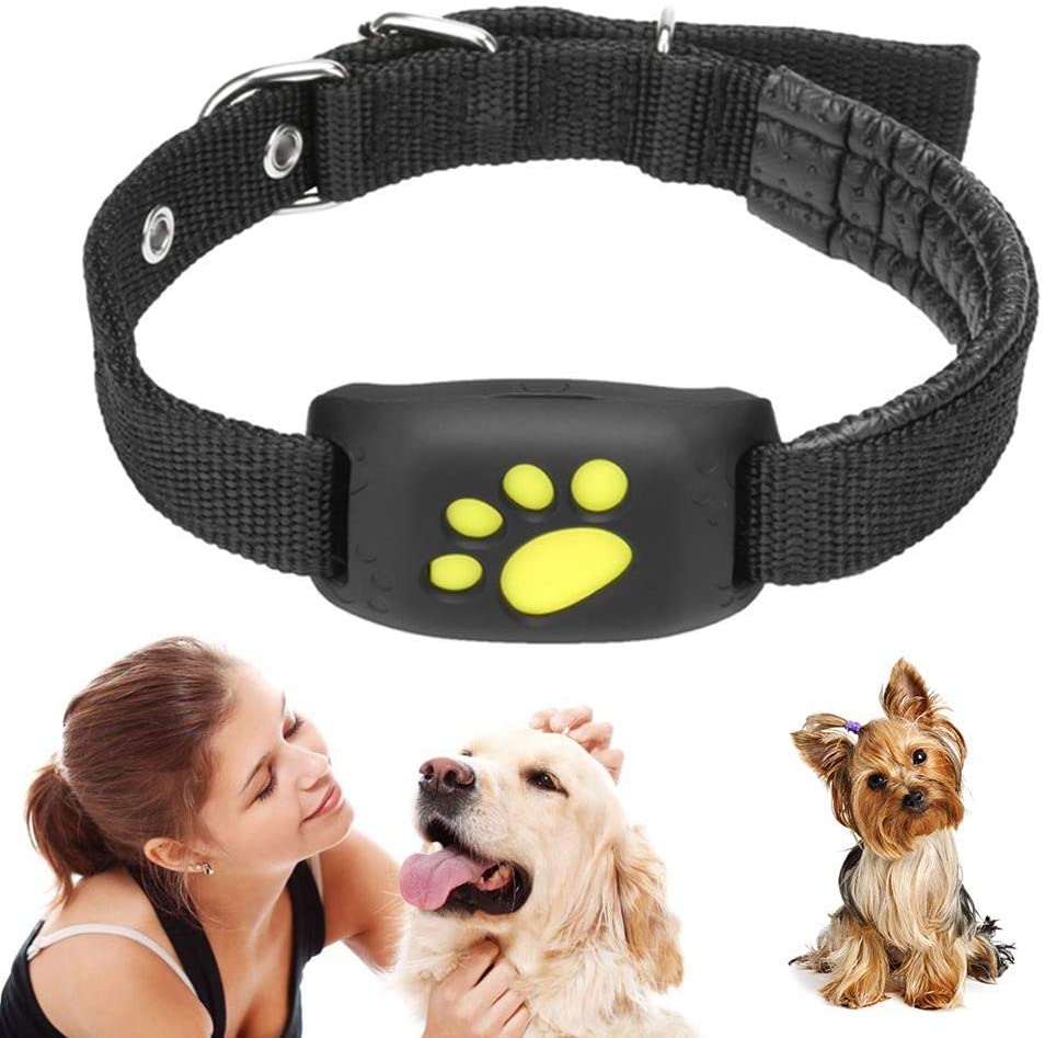  W-Pet GPS rastreador para Perro, Resistente al Agua, Monitor de Actividad, Gato GPS, Collar rastreador con Collar Ligero, antipérdida, Plataforma de Seguimiento en línea 