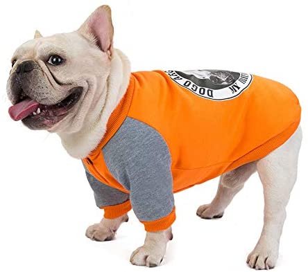  WANGSHI Bago Suéter De Bulldog Francés Ropa Suéter De Perro Gordo Perro Mediano Chaleco De Algodón Chaleco Mascota Otoño Invierno Espesar Sudadera Bulldog Naranja Busto XXL 68 Longitud de Espalda 38 