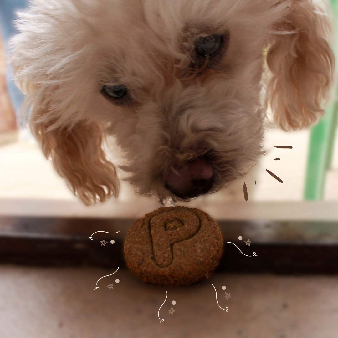  Waniyanpi Snacks para Regular y Proteger el sebo de la Piel de los Perros. con Aceite de Salmón- 200g 