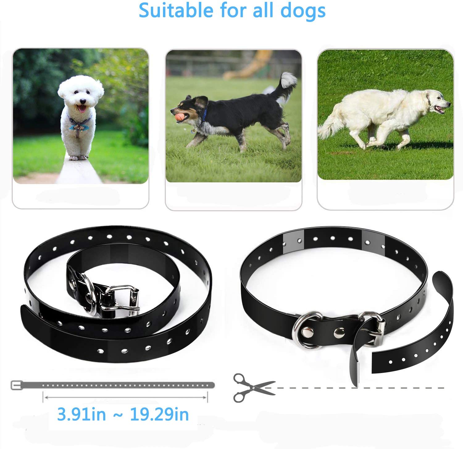  Wodondog Collar Adiestramiento Perros Remoto de 500 Metros 