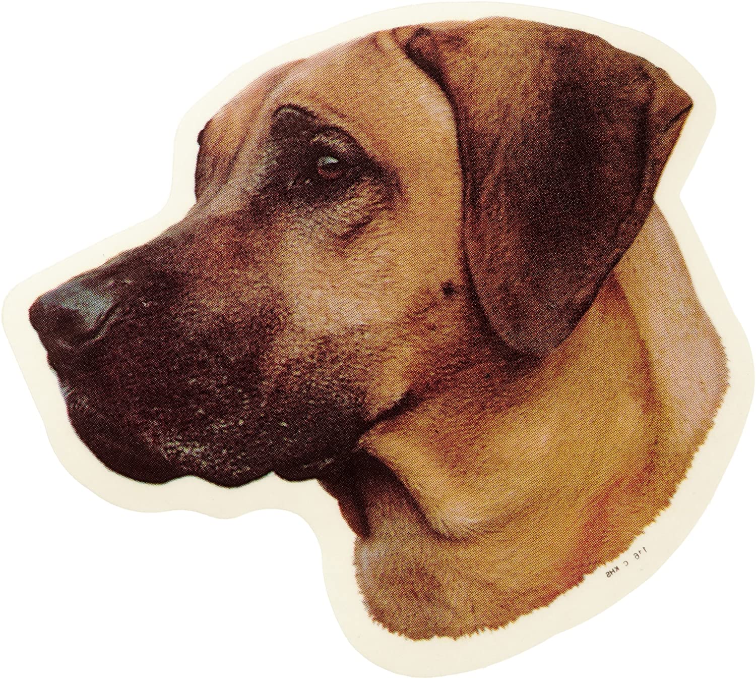  World Stickers schwandt doméstica Animales requisitos 12128 Pegatinas 4 Unidades Aprox. 80 x 80 mm para warnschild Norwegian Buhund 