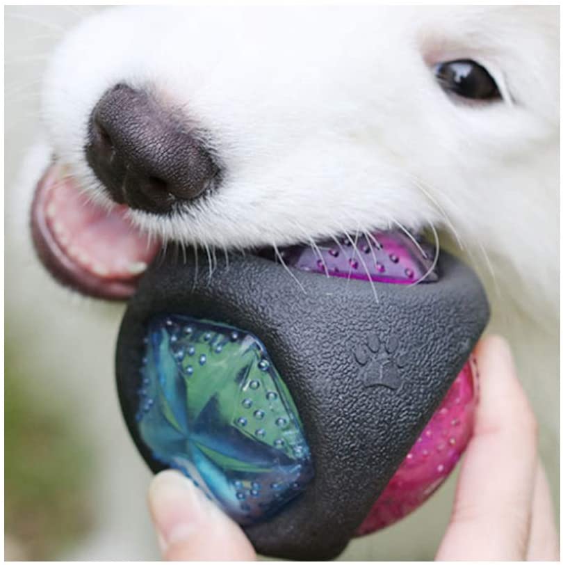  ysylxy - Pelotas de Goma para Perro Luminosas, Resistentes a la mordida, Juguete para Mascotas con Sonido y luz 