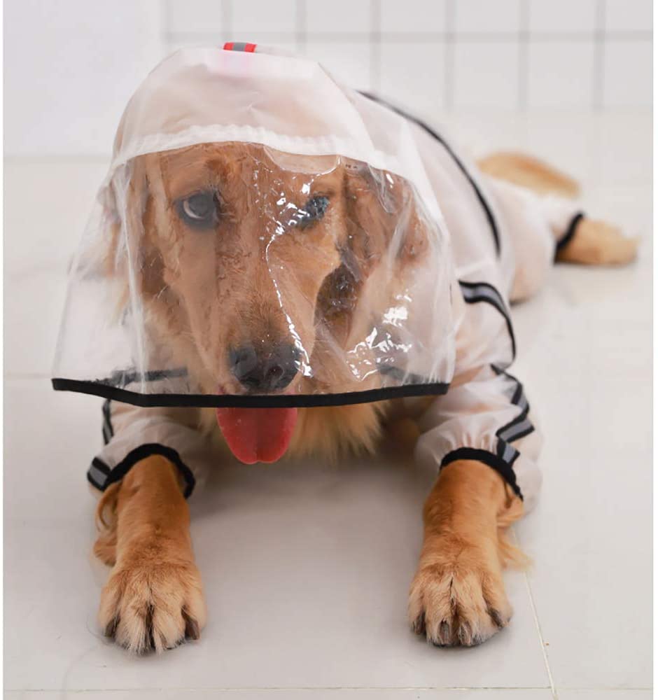  Zhyaj Chubasquero Medianos Perro De Raza con Capucha Y Collar Agujero, Ultra-Light Transpirable Transparente 100% Impermeable Chaqueta para Lluvia Adecuado para Perros Pequeños Y Medianos. 