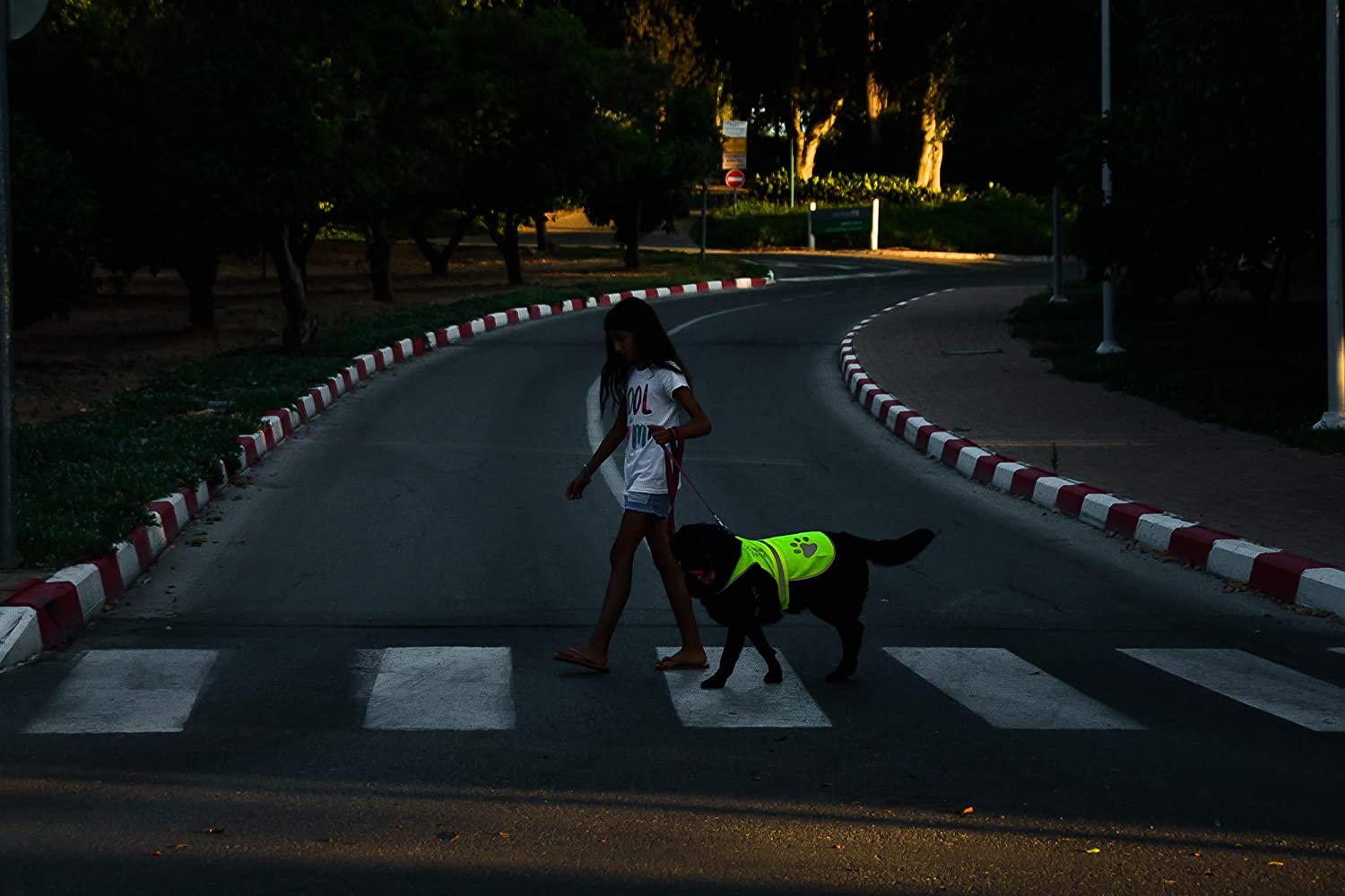  4LegsFriend - Chaleco Reflectante de Seguridad para Perro, Amarillo Alta Visibilidad para Actividades al Aire Libre día y Noche, Mantiene a su Perro Visible y Seguro. 