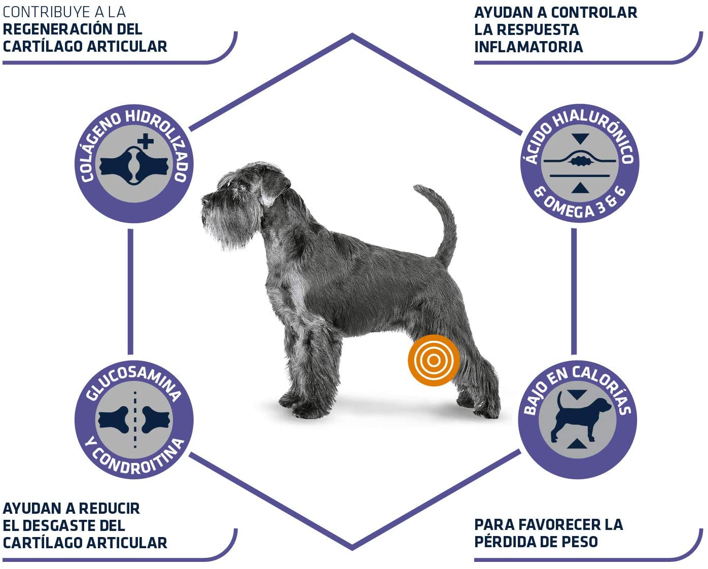  Advance Articular Care Senior Pienso para Perros, Mayores de 7 años, 12 kg 