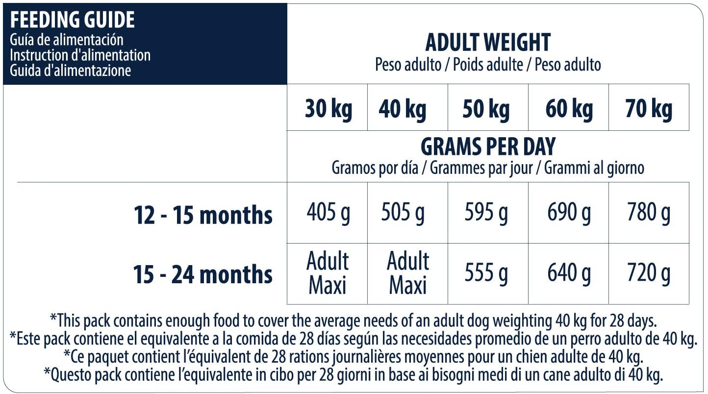  Advance Junior Maxi - Comida seca para cachorros, 14 kg 