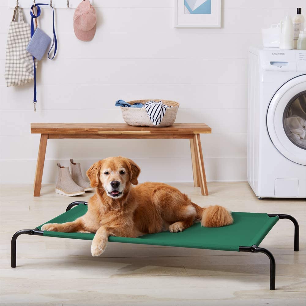  AmazonBasics – Funda de repuesto para la cama para mascotas elevada y aireada, grande, color verde 