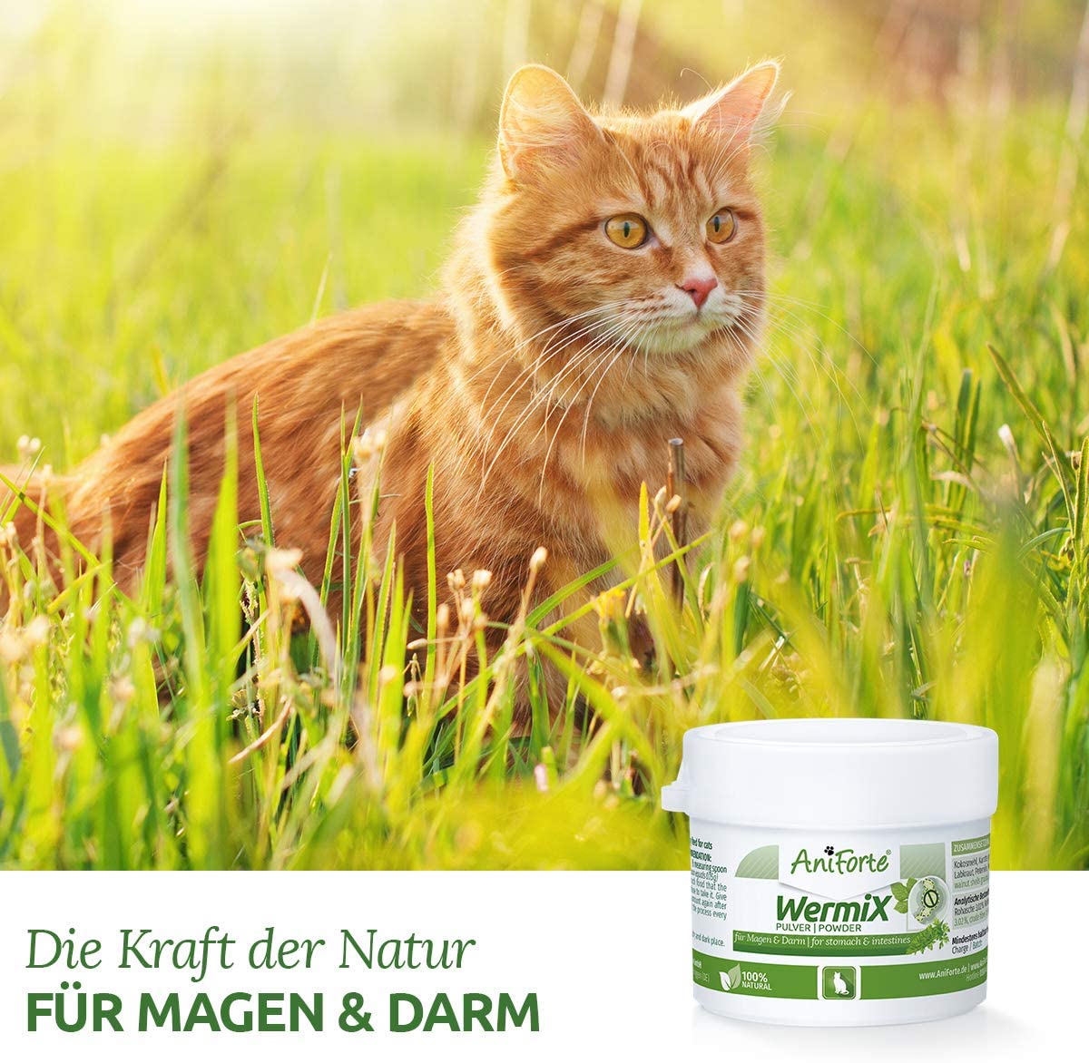  AniForte WermiX en polvo para gatos 25g - producto natural para antes, durante y después de la infestación de gusanos, el ajenjo y las hierbas naturales ayudan al estómago y el intestino 