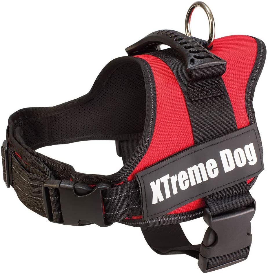  Arquivet 17699 Arnés Xtreme Dog, Rojo, XS (44-57 cm) 