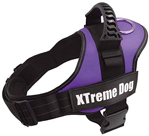  Arquivet 17714 Arnés Xtreme Dog, Lila, XL (80-110 cm) 