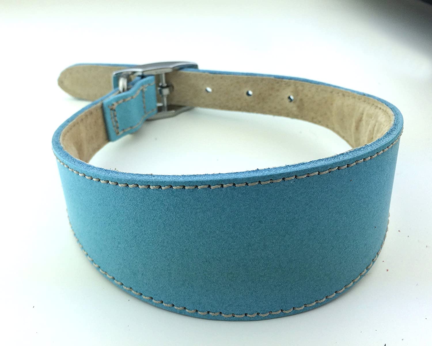  BBD Pet Products Collar para Galgo, Forrado y Acolchado 