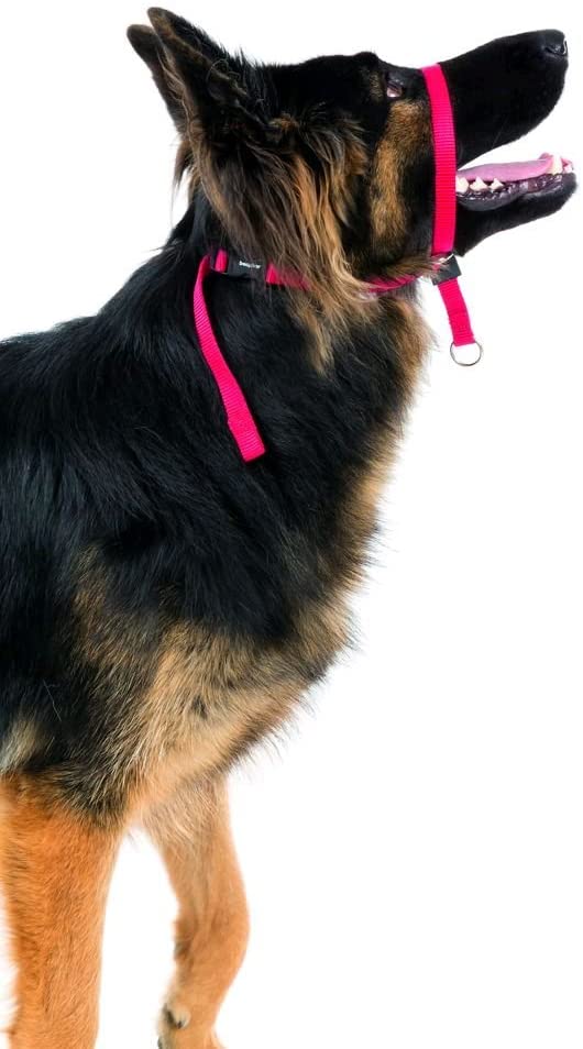  Beaphar Collar de Adiestramiento Gentle Leader, L, Negro 