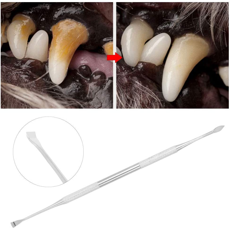  Bicaquu Mascotas Limpieza de Dientes Pluma de Doble Punta Herramienta Tartar Remover Raspador de Piedra Dental para Perros Gatos 