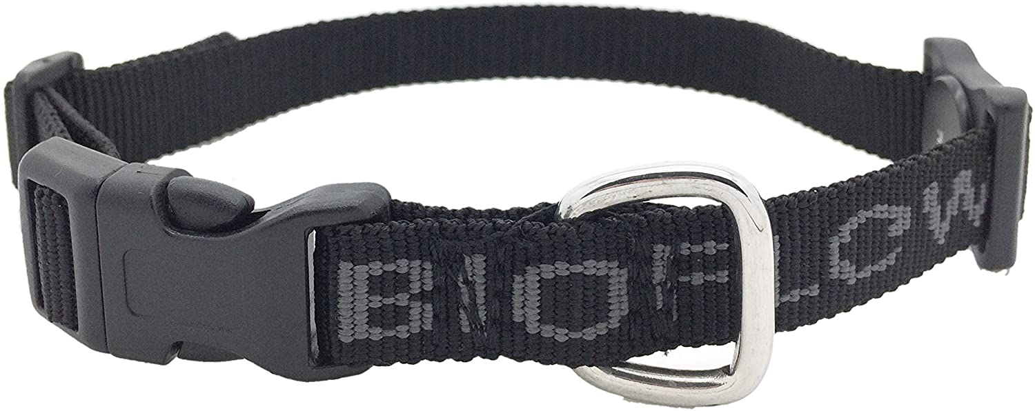  Bioflow Collar Perro Magnético Negro - S (hasta 45cm) 