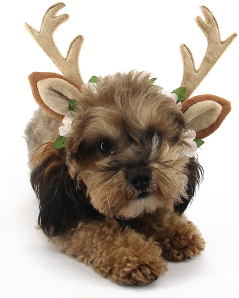  Bluelans Perro Gato Navidad Diadema de renos Antlers con flores para mascota Teddy Labrador, One Coloe, Large 