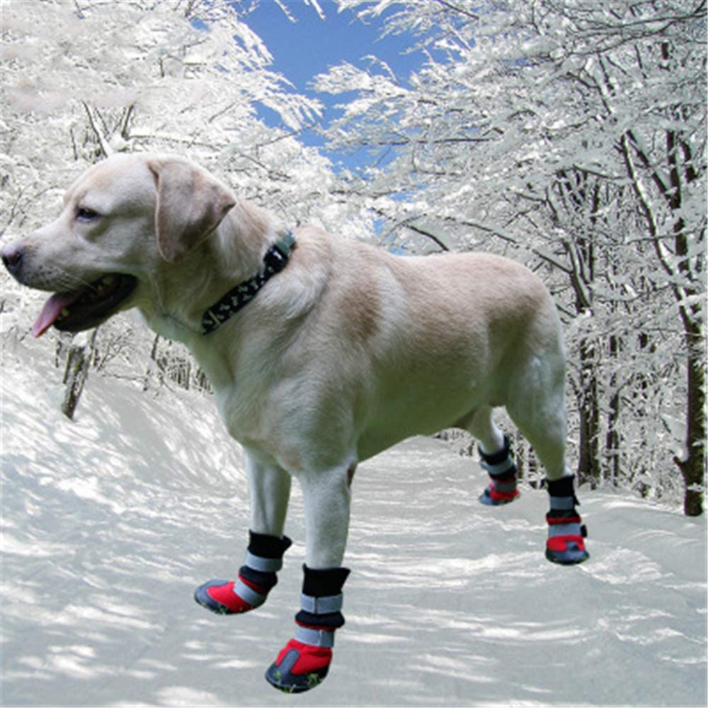  Botas de perro de malla transpirable suelas de goma antideslizantes de carretera caliente zapatos para perros protector de garra suave para mascotas adecuado para perros medianos grandes 6 * 6,4 cm 