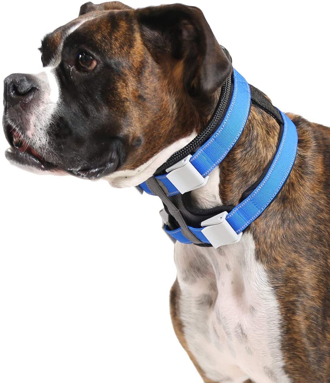  Cesar Millan, Collares de Perro, Pack Leader Collar, Gris (Grande) 