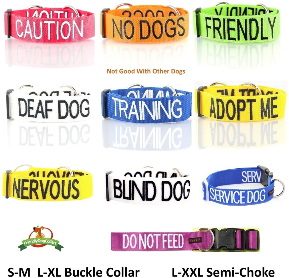  Collar para perros acolchado de neopreno, es ajustable, en tallas S, M, L, XL y XXL, de Dexil 