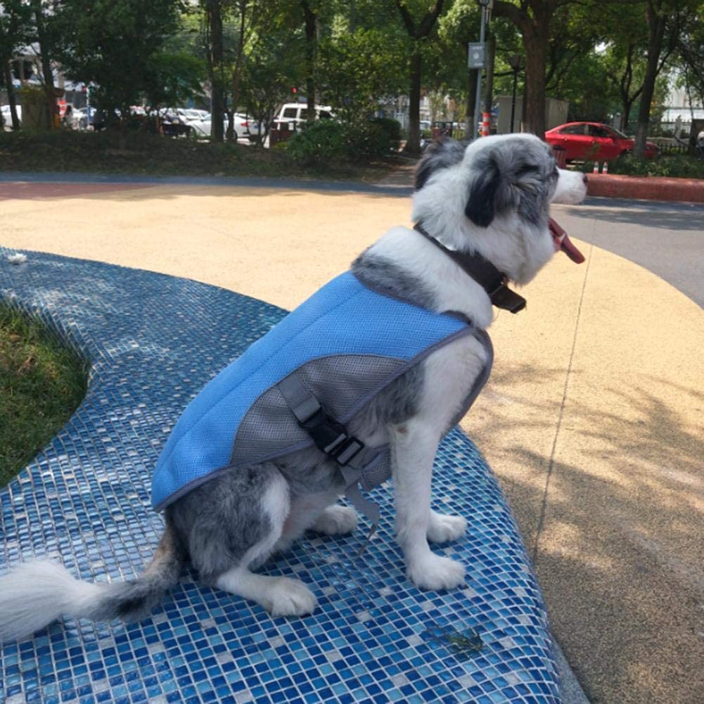  cypressen Chaleco refrigerante para Perros Verano Mascotas Chaleco refrigerante Chaqueta Transpirable para Mascotas Paseos al Aire Libre Correr Escalada (Azul/Rosa/Naranja) 