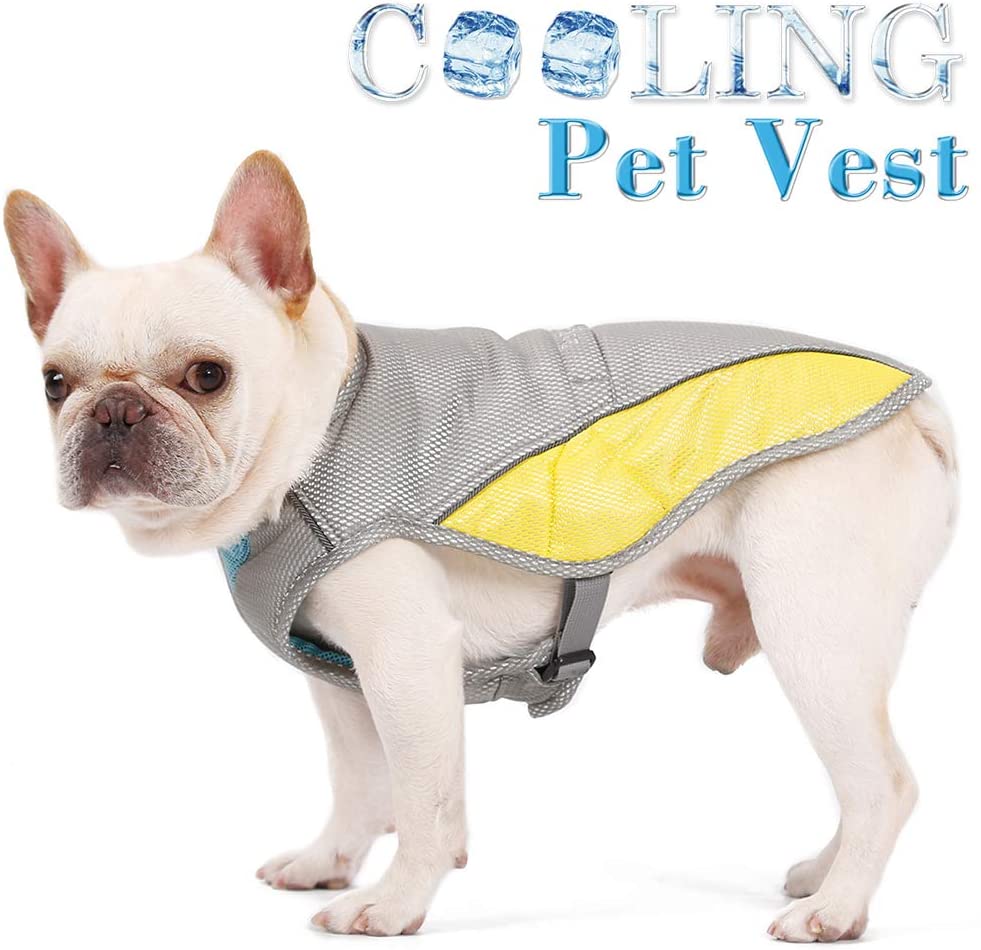  Danigrefinb Chaleco Perro, Chaleco de Verano para Mascotas, Chaleco de enfriamiento para prevención de Golpes de Calor, Chaqueta para Cachorro, Ropa refrigerante para Perro 