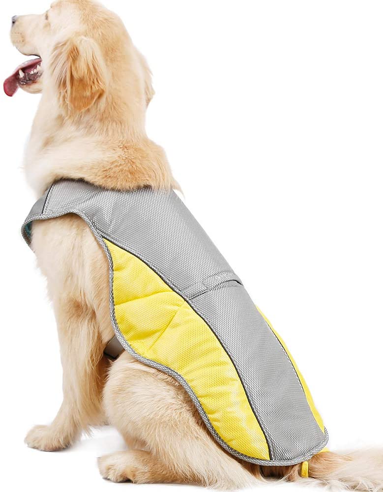  Danigrefinb Chaleco Perro, Chaleco de Verano para Mascotas, Chaleco de enfriamiento para prevención de Golpes de Calor, Chaqueta para Cachorro, Ropa refrigerante para Perro 