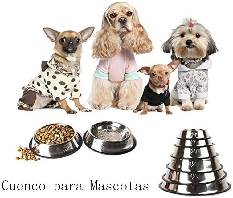  Da.Wa Plato para Perros de Acero Inoxidable con Espacio para Mascotas Antideslizante Huellas Diámetro 15.5cm 