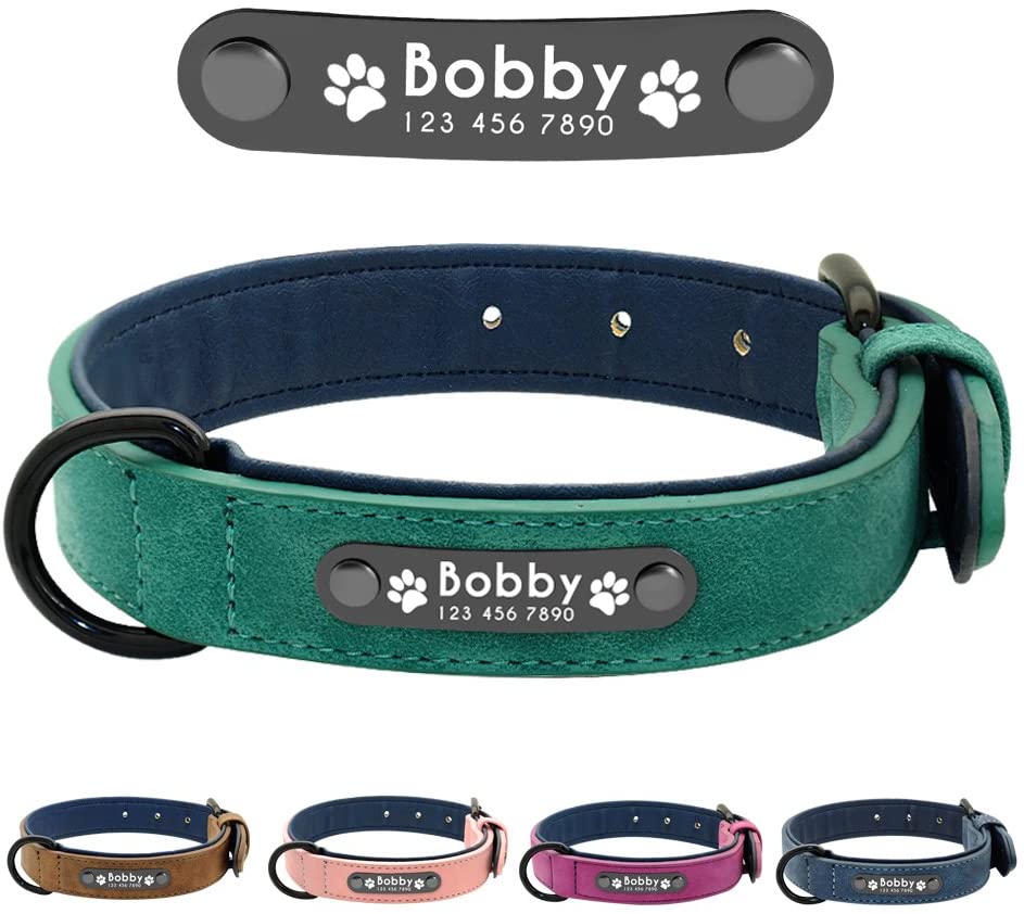  Didog - Collar de piel suave acolchada personalizable para perro, chapa de nombre, anillo en D, collar grabado para perro, tamaños pequeño, mediano y grande 