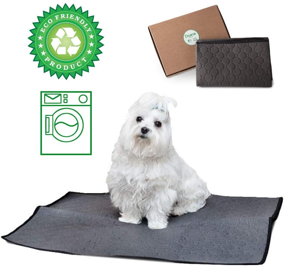  DISANE EMPAPADOR Perro Lavable Y Reutilizable 100 x 67cm Gris | Empapadores para Perros y Gatos Lavables a máquina respetuosos con el Medio Ambiente | Entrenamiento Cachorros, Mascotas Convalecientes 