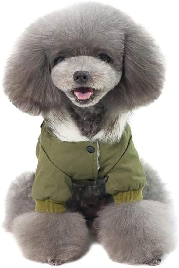  DONG HAI Ropa para Mascotas Escudo Escudo De Invierno Frío del Animal Doméstico De La Chaqueta Caliente El Chaleco De La Técnica Ropa para Perros Pequeños Medio,Verde,L 