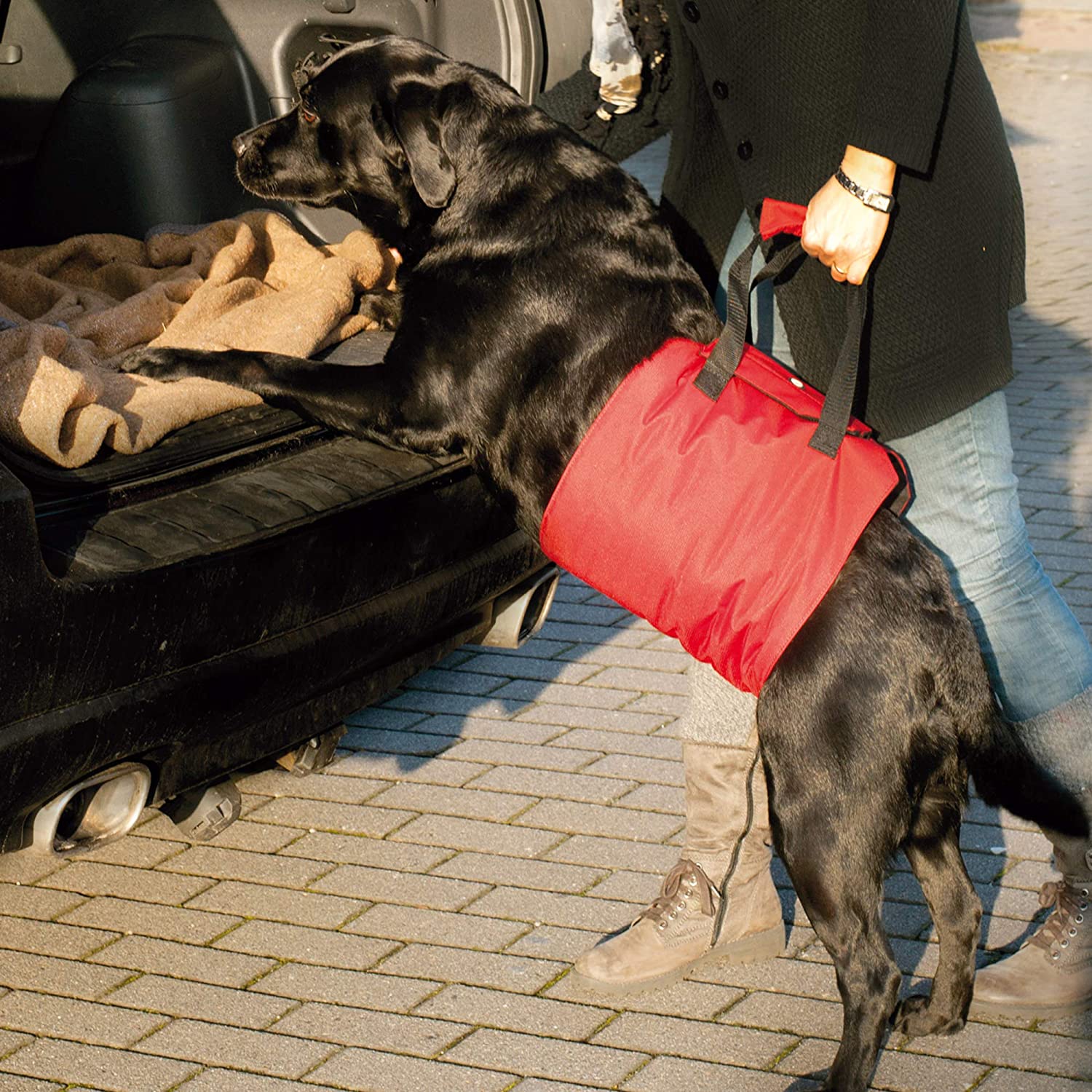  Doxtasy Asistente de arnés para Perro 