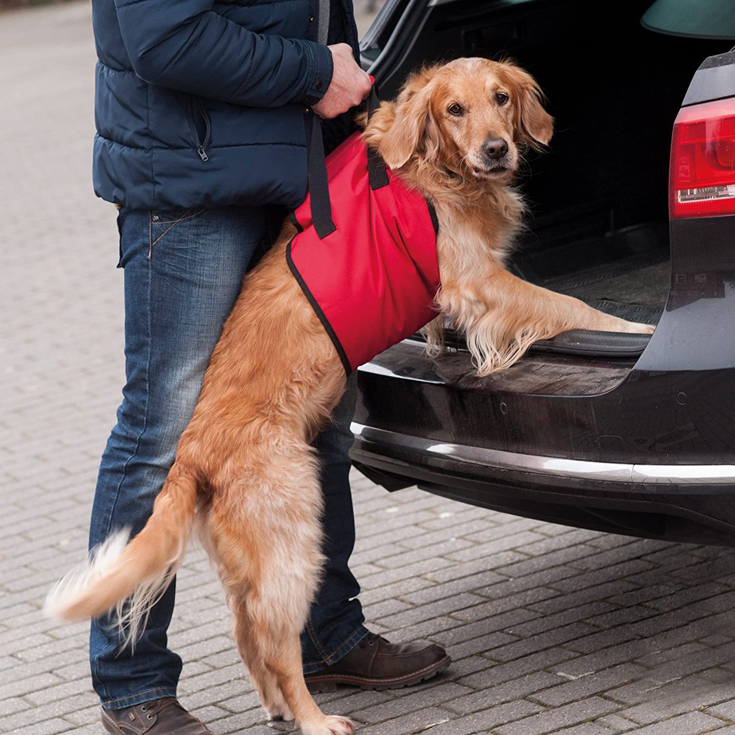  Doxtasy Asistente de arnés para Perro 