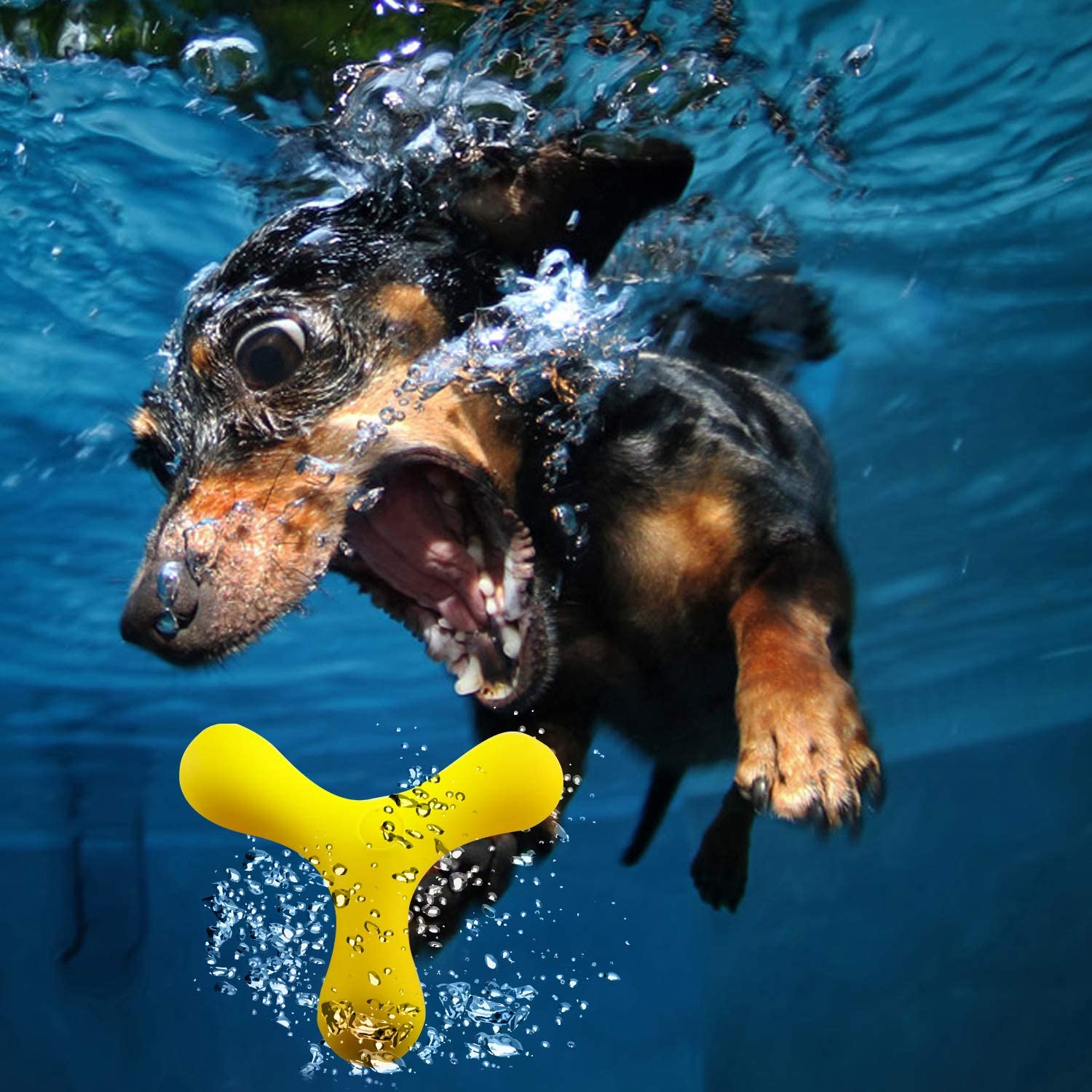  EETOYS Juguete para Perros Ruidoso, Juguete para Buscar Agua, Juguete para Perros Flotante para Nadar y Jugar Interactivo 