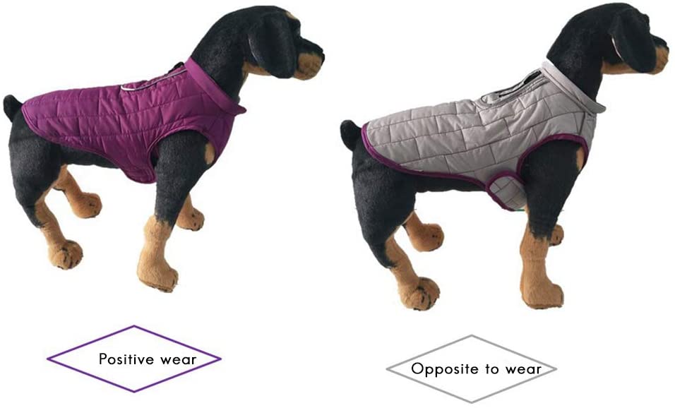  EisEyen Resistente al Agua Perros Chaqueta Doble Cara Calientes hundeman TELM de XXL, Morado, Medium 