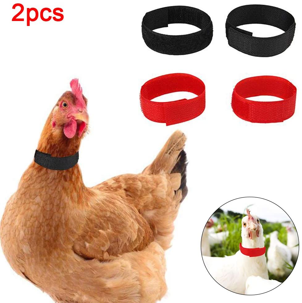  Fattigger Accesorios para Mascotas pequeñas y 2 Piezas de Cuello de Pollo de Nailon sin Gancho, Cuello de Aves de Corral de Ganso Ruidoso, Rojo, 2 Unidades 