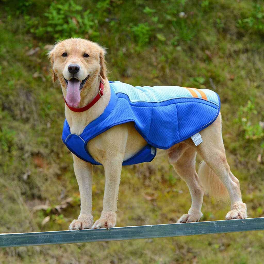  FBGood – Chaqueta de refrigeración para Mascotas – Chaqueta de Perro Ligera de Abrigo de Animal Familiar de prevención del Calor – Refrigerante Verano anticalor, Azul, S 