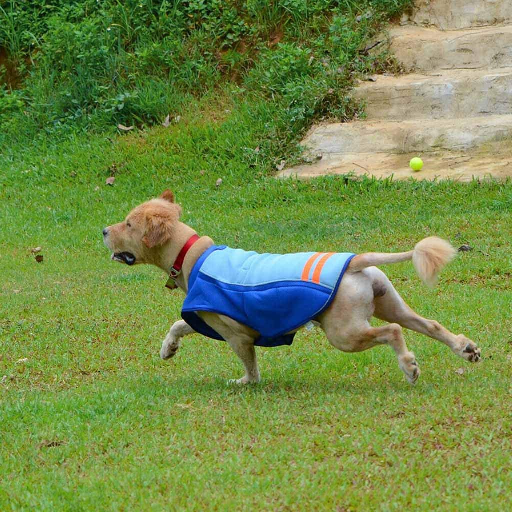  FBGood – Chaqueta de refrigeración para Mascotas – Chaqueta de Perro Ligera de Abrigo de Animal Familiar de prevención del Calor – Refrigerante Verano anticalor, Azul, S 