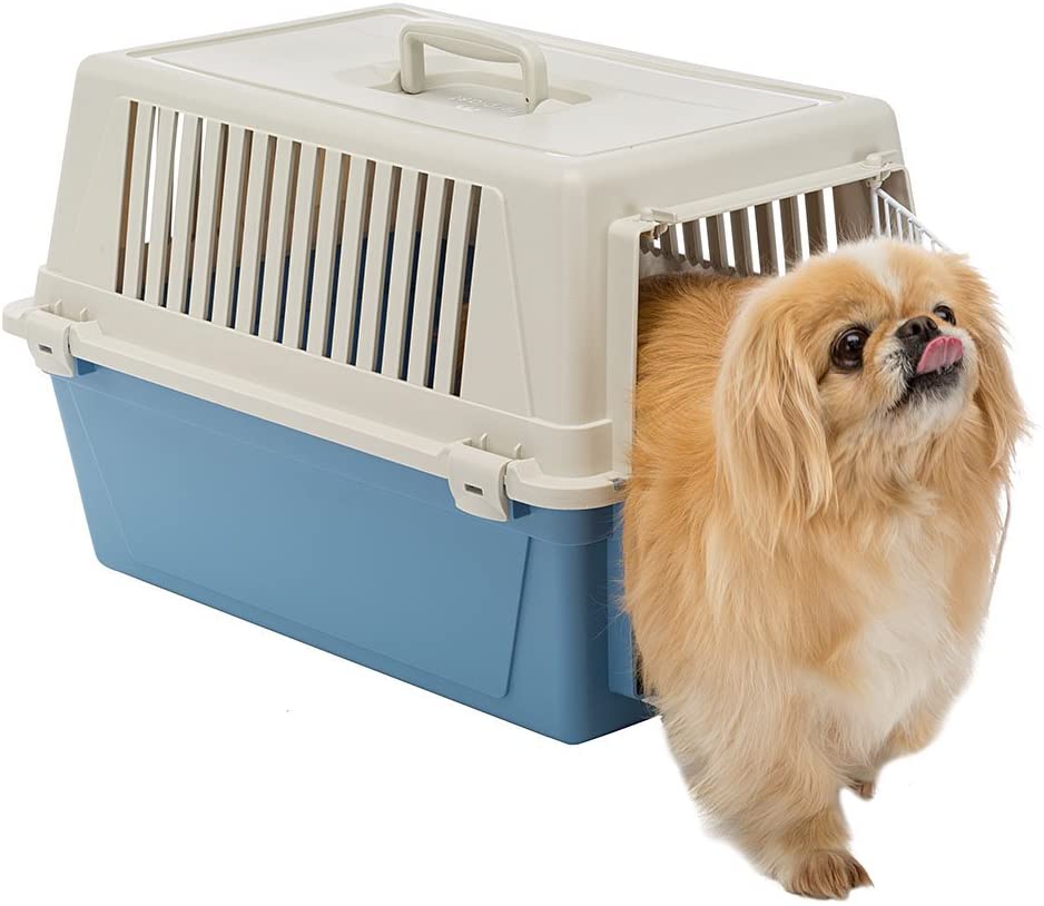  Ferplast Transportín rígido para Perros de Talla pequeña y Gatos Atlas 30 EL, Caja de Transporte, Plástico, Puerta de Acero plastificado, Rejillas de ventilación, 40 x 60 x h 38 cm Azul Marino 