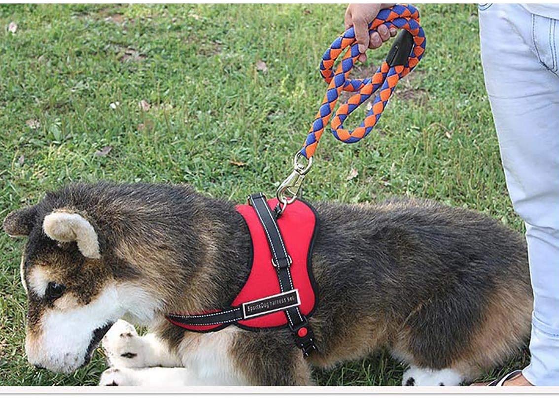  Furein Arnés para Perro Pectoral Ergonómico, Acolchado y Ajustable con Asa de Agarre Corto, Reflectante (M, Rojo) 