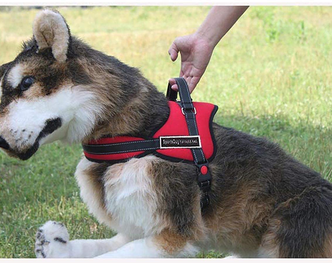  Furein Arnés para Perro Pectoral Ergonómico, Acolchado y Ajustable con Asa de Agarre Corto, Reflectante (M, Rojo) 