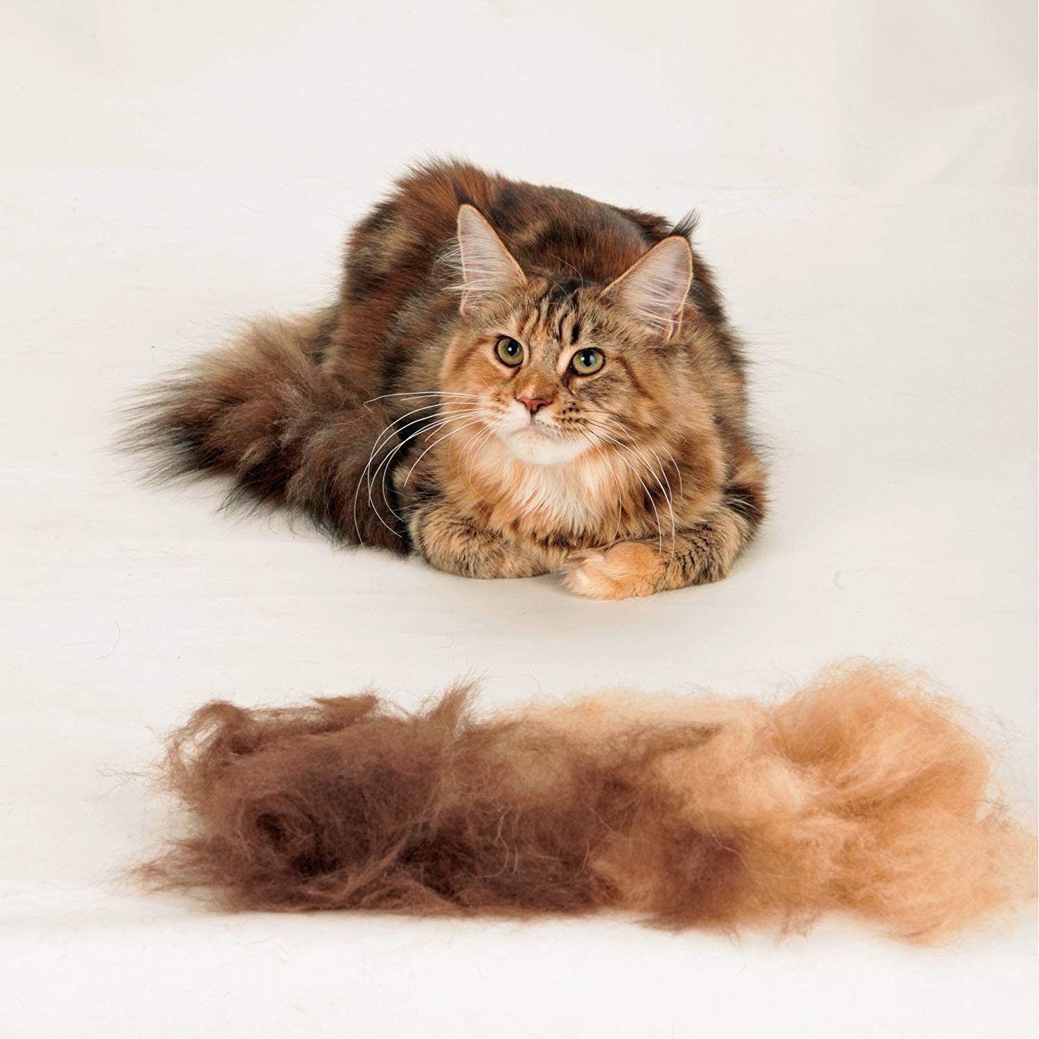  Furminator Herramienta de muda para Gatos pequeños de Pelo Largo S 