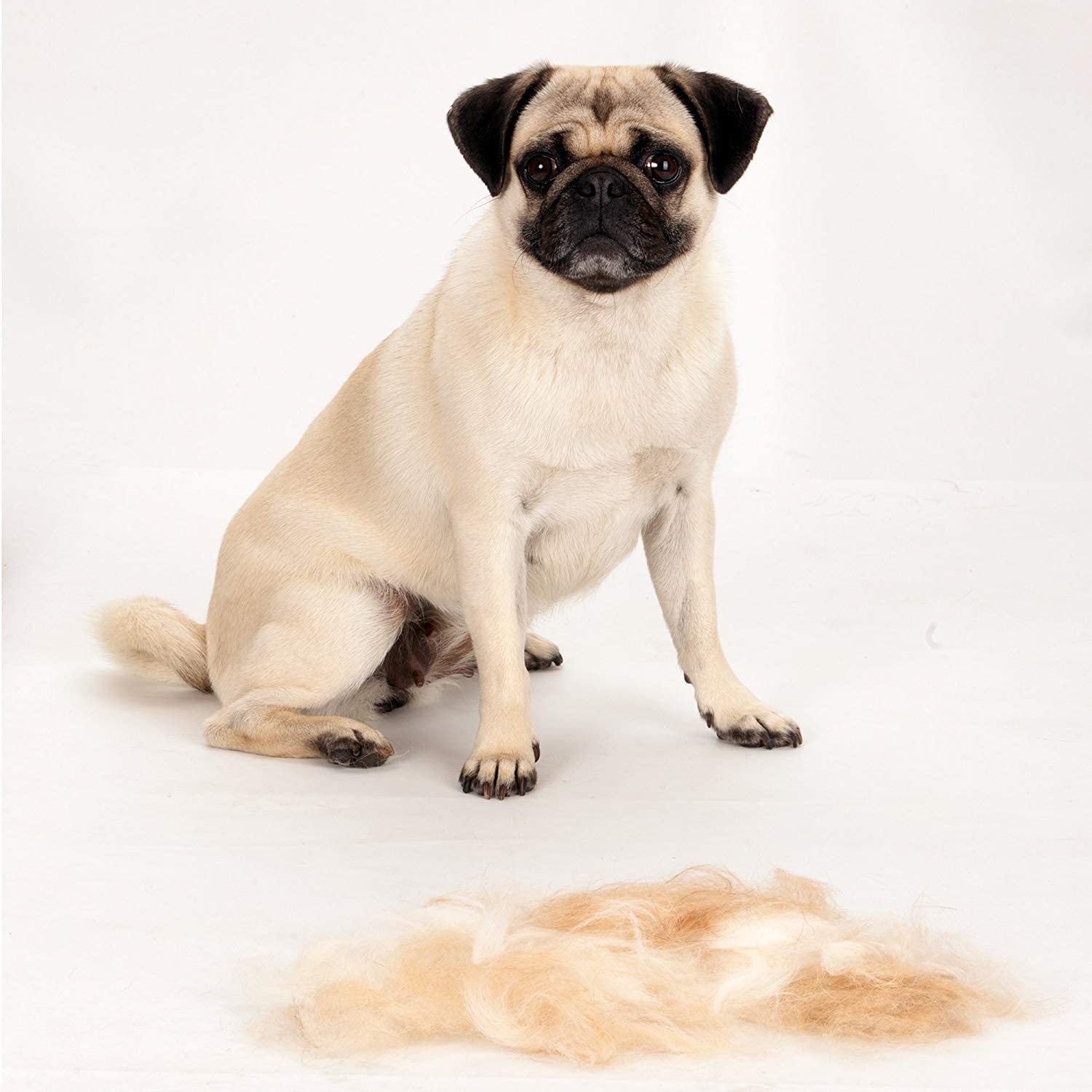  Furminator Herramienta de muda para Perros pequeños de Pelo Corto S 