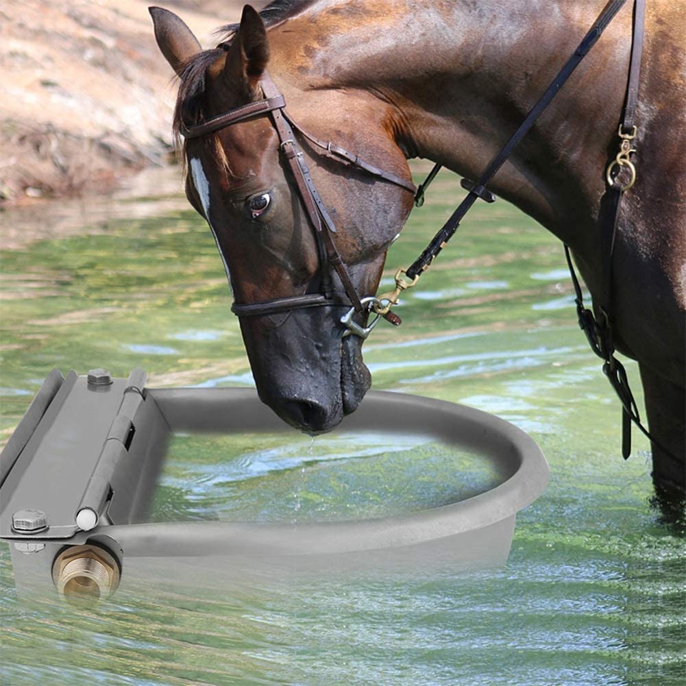  Ganado bebedero automático, 4 Litro acero inoxidable cuenco al agua beber automática para caballos chèvres bovins 