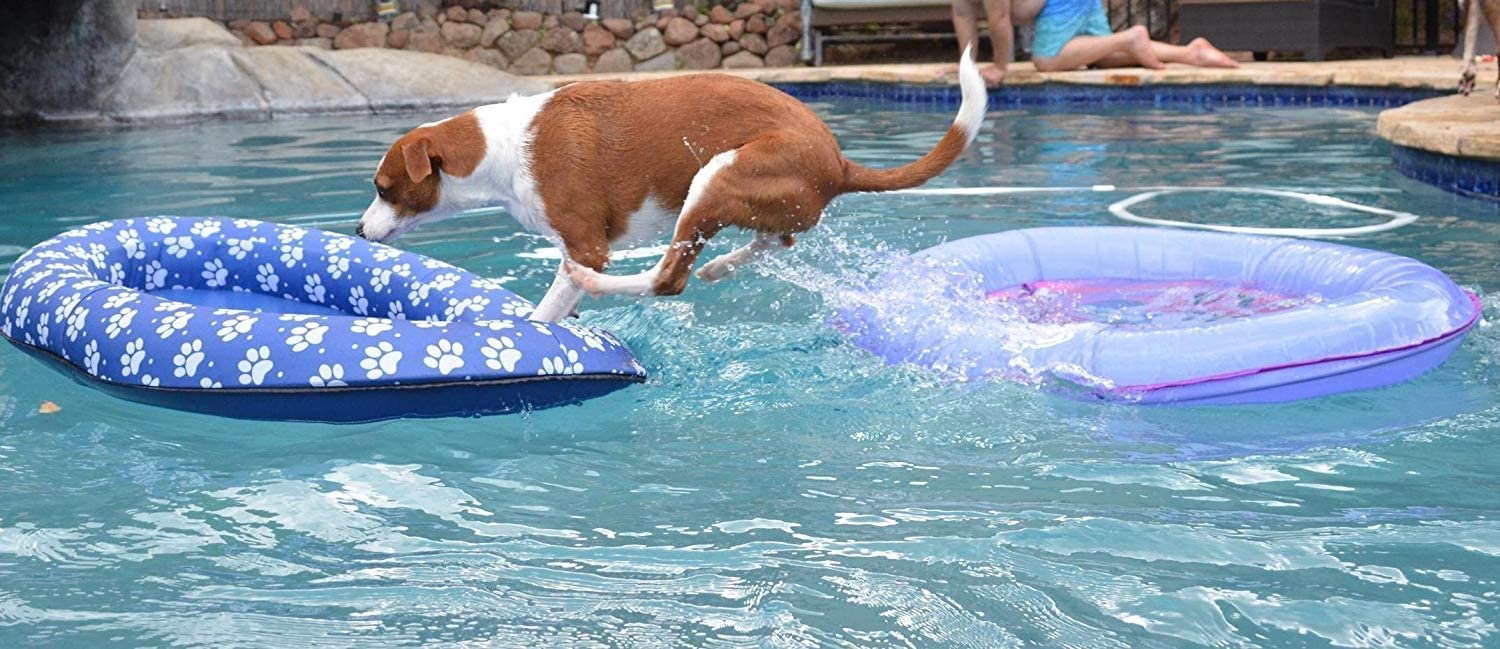  Ginkago Juguete Inflable de la Piscina del Flotador de la Piscina del Animal doméstico del Juguete (Blue) 